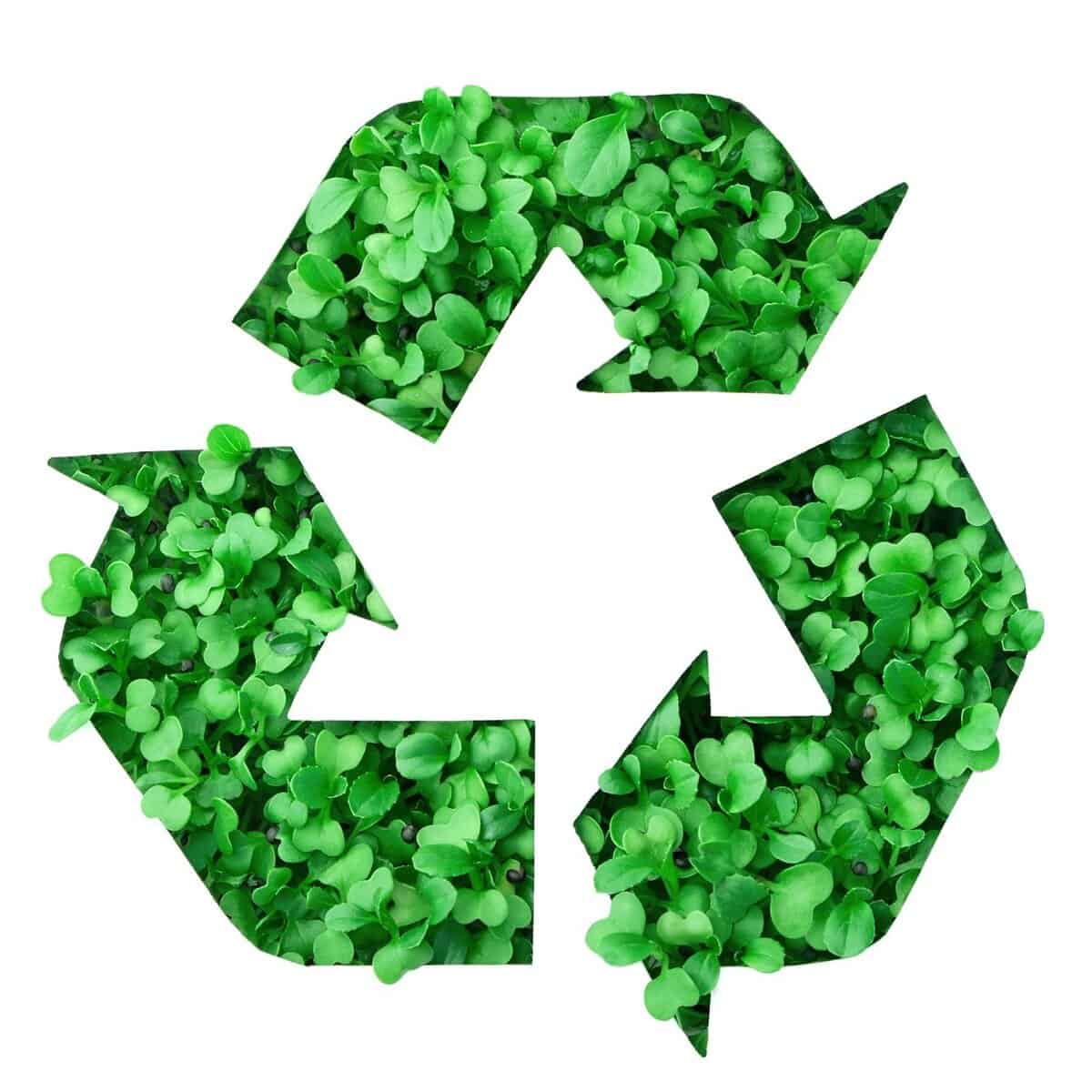 Recycling symbol made of greenery growing in paper stencil